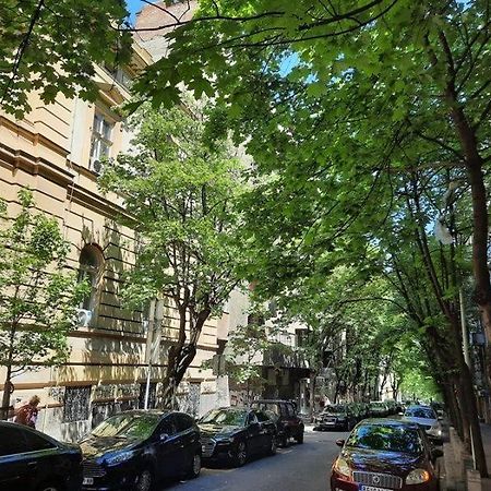 Apartment 51 - Bright, Spacious, Lux 1 Bedroom In The City Center - Stari Grad 贝尔格莱德 外观 照片