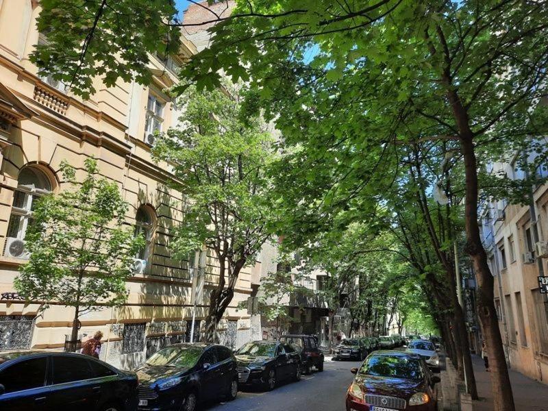 Apartment 51 - Bright, Spacious, Lux 1 Bedroom In The City Center - Stari Grad 贝尔格莱德 外观 照片