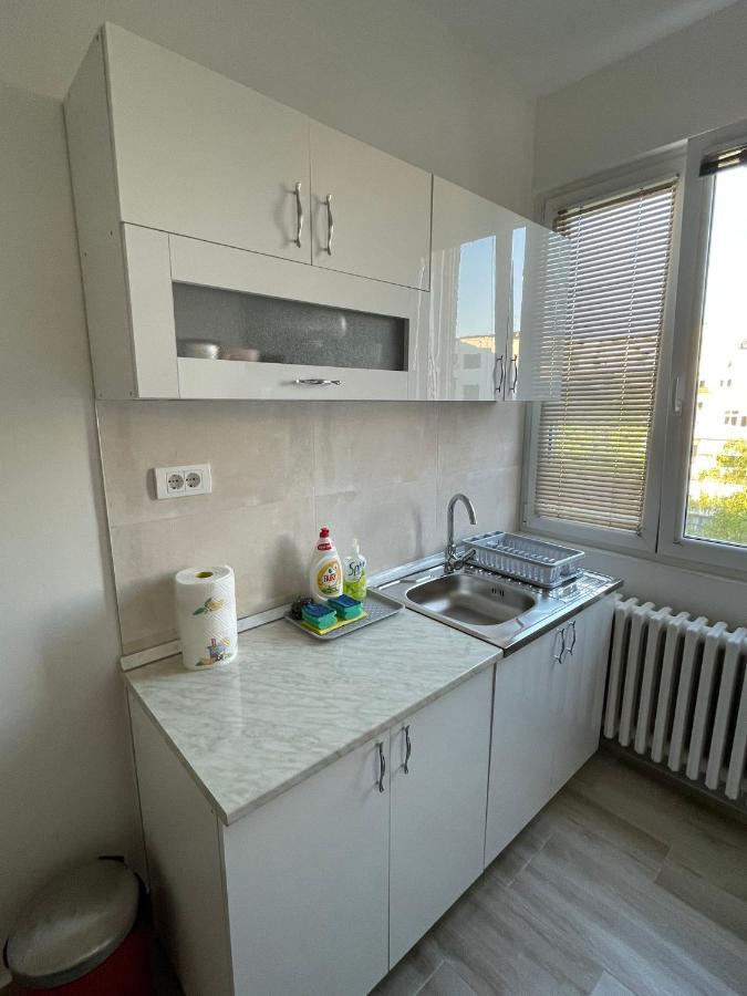 Apartment 51 - Bright, Spacious, Lux 1 Bedroom In The City Center - Stari Grad 贝尔格莱德 外观 照片